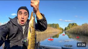 Ловля щуки на кружки и спиннинг. [24-Часа] На острове!