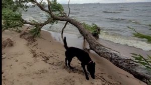 Мы украли у них жизнь