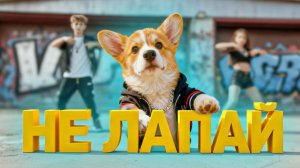 Корги Пряник - А ТЫ МЕНЯ НЕ ЛАПАЙ! (Official music video) МОЙ ПЕРВЫЙ КЛИП!!