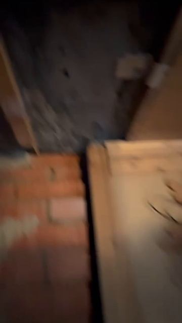 Продается уютная дача в СНТ "Строитель" — идеальное место для отдыха и уединения на природе! смотреть онлайн