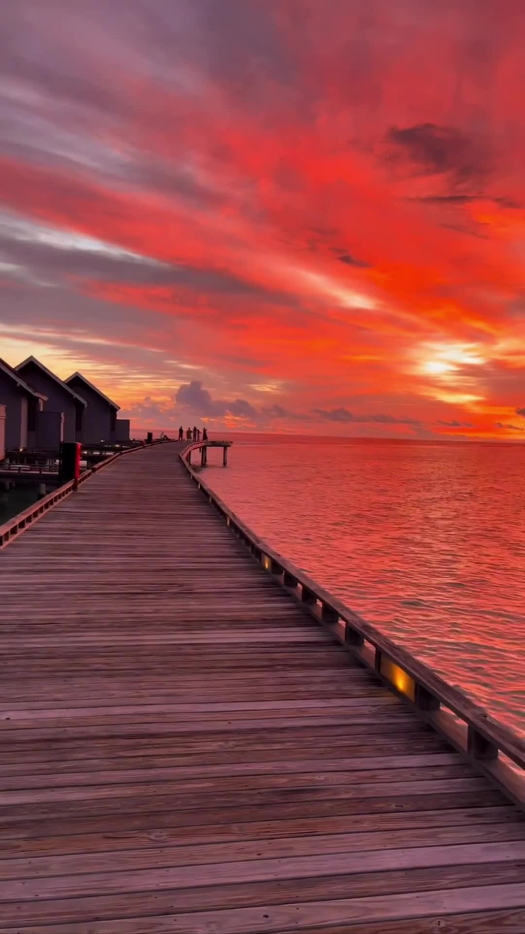 На Мальдивах с декабря по март наступает сухой сезон, который характеризуется солнечными днями, т... смотреть онлайн