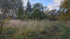 Мстинский Мост