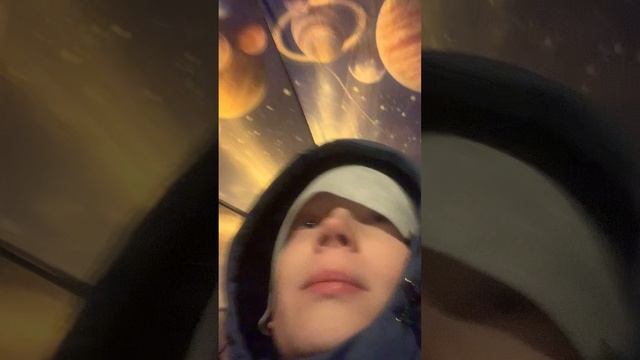 факты в 99 ночей в лесу