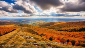 Музыка Сергей Грищук Красивая музыка (Осень) @музыкадуши