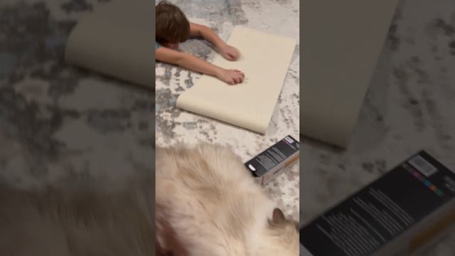 Распаковка чек! Покупки с валберис🛍️🛍️🛍️🛍️ смотреть онлайн