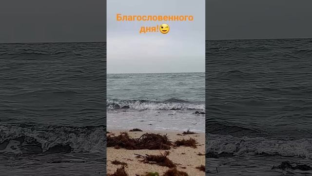 БЛАГОТВОРНОГО ДЕНЕЧКА ВСЕИ!