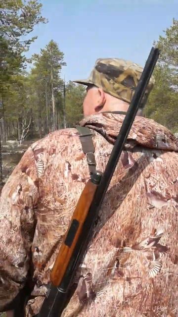 Ну прям цыгане.