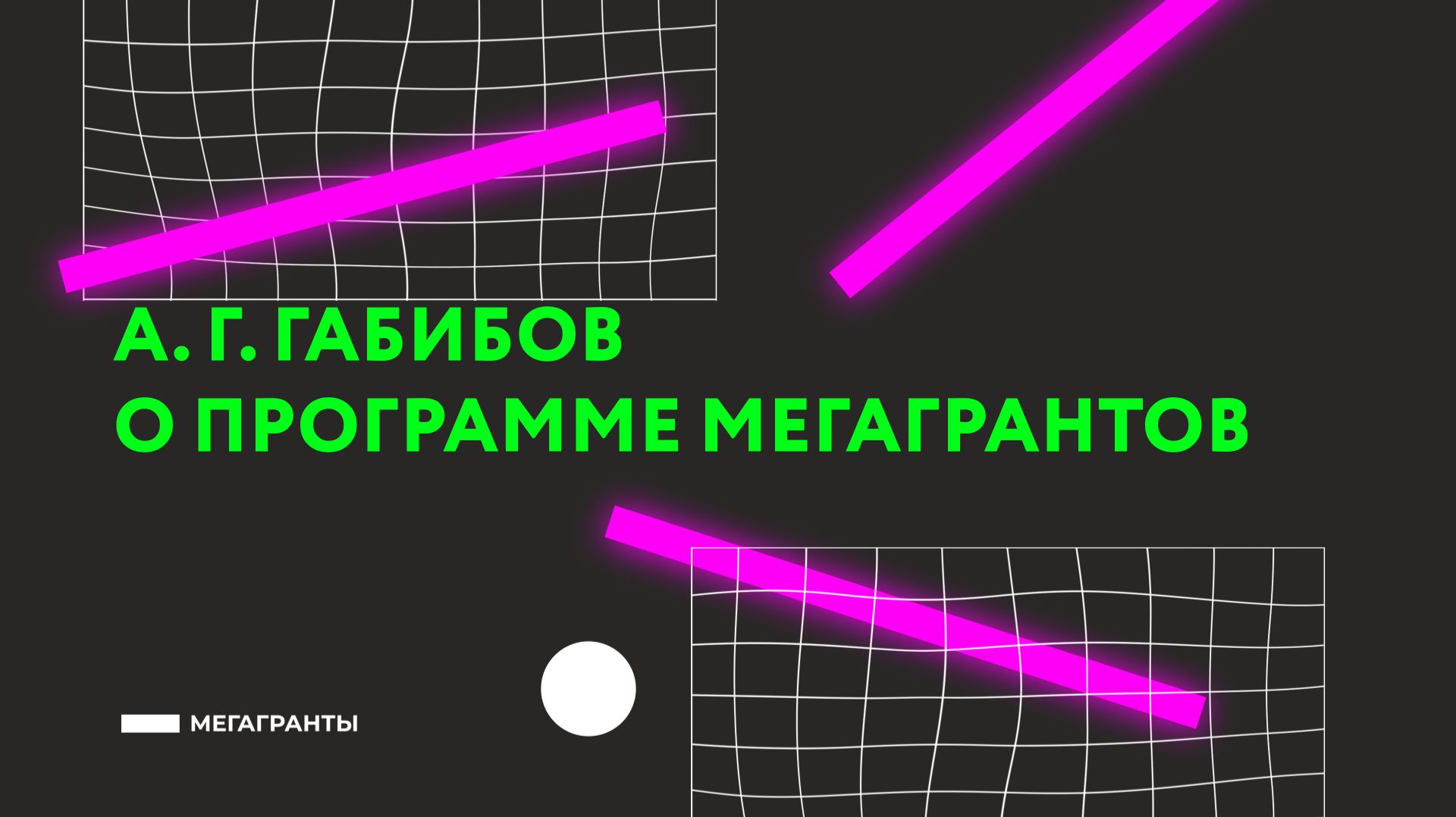 А. Г. Габибов О программе Мегагрантов