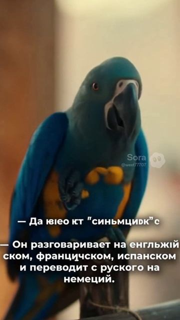 «Этот попугай — БОСС! 😳🐦» смотреть онлайн