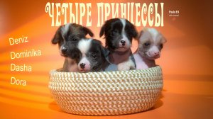 Четыре принцессы