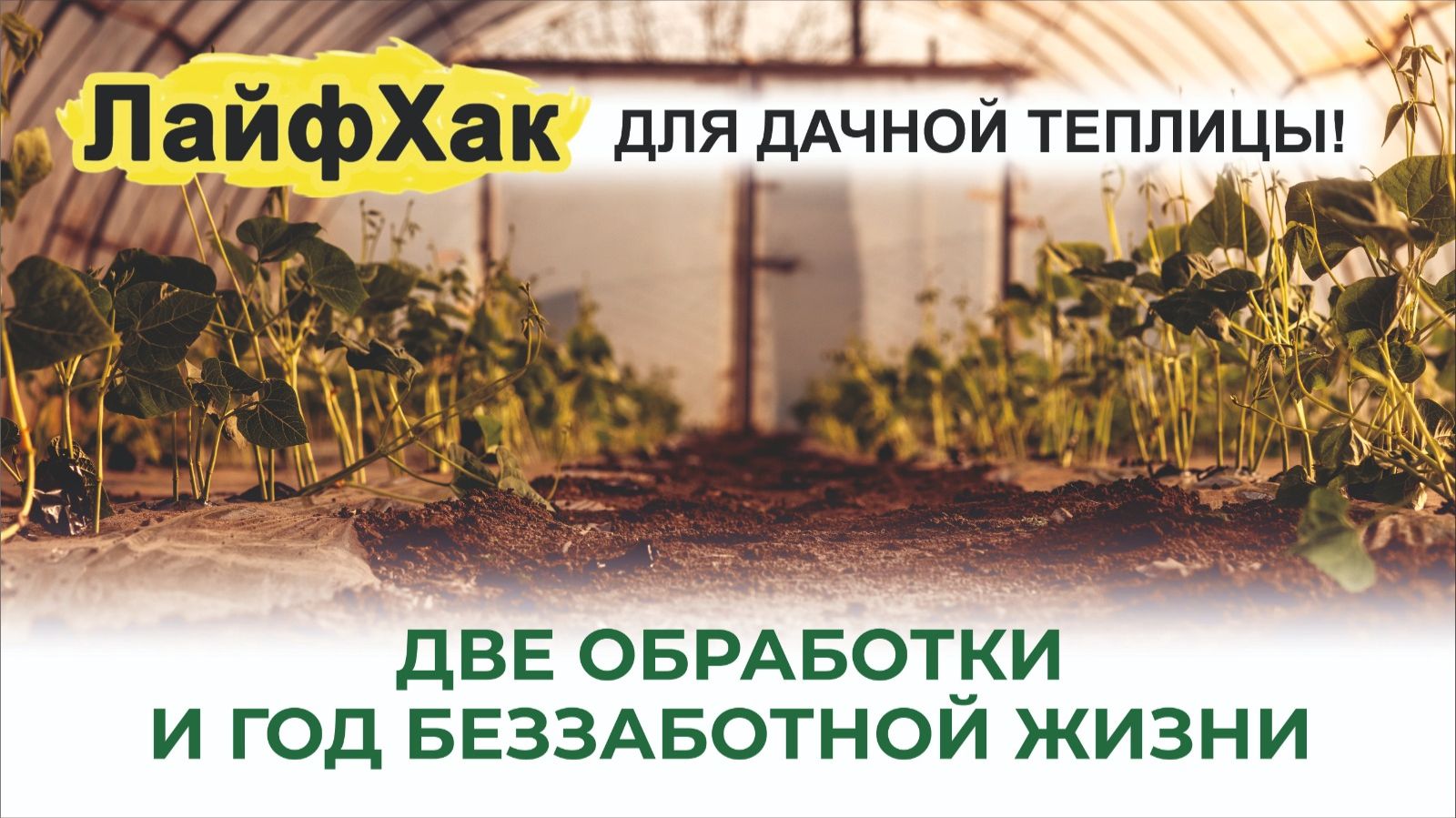 Чем обработать теплицу, чтобы была готова к весне? Ваши томаты болеть не будут! смотреть онлайн