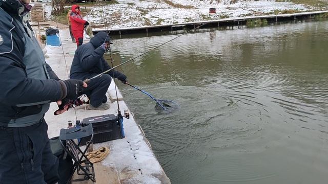 1000052627.mp4 смотреть онлайн