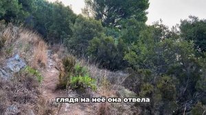 ИНТЕРЕСНАЯ ИСТОРИЯ ИЗ ЖИЗНИ.  "Знахарь для сына "