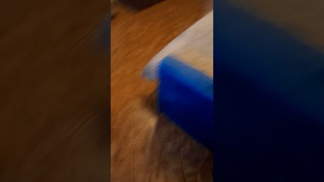 Необычный праздник 😶