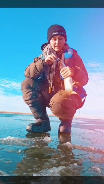 По первому льду и первые щуки на жерлицы. смотреть онлайн