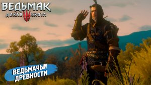 ВЕДЬМАЧЬИ ДРЕВНОСТИ ➤ Ведьмак 3 Дикая Охота #90