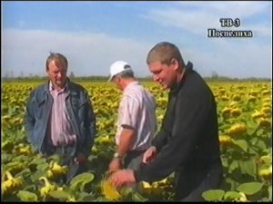 семенар агрономов  Мелире Мамонтово 2011г