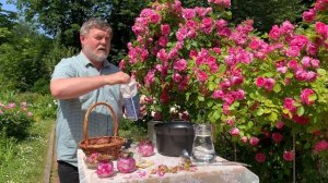 Варенье из лепестков роз