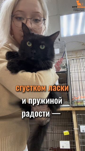 Киллиан (уже дома) смотреть онлайн