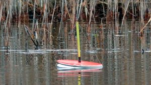 Осення рыбалка на живца