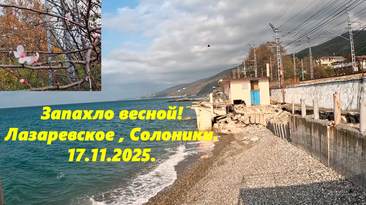 Запахло весной! Лазаревское , Солоники ,17.11.2025. смотреть онлайн