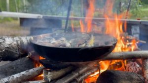 Поездка на Биологическую станцию Белого моря / 4k / 2025