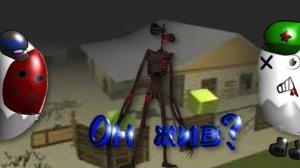 Сереноголоовый N3