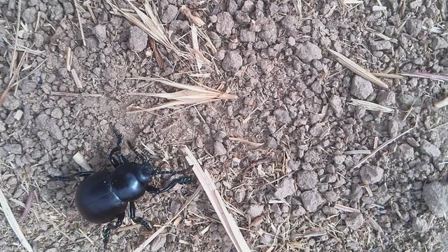 Какой красавчик в сапожках смотреть онлайн