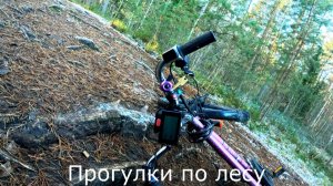 Заканчиваю и прогулки и поездки на велосипеде.