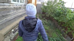 Влог от 25.09.2021