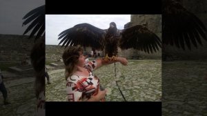 Действующие герои на канале и главная болтушка.