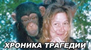История шимпанзе Тревиса | Хроника Трагедии | Документальный фильм.