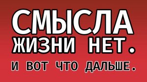 Вы правы! Смысла жизни нет! И вот что делать ДАЛЬШЕ!