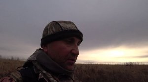 Охота на зайца, как пример начинающим зайчатникам