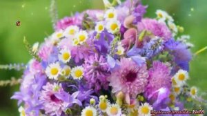 Хорошего дня.