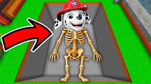 Я НАШЕЛ СЕКРЕТ МАРШАЛА ЩЕНЯЧИЙ ПАТРУЛЬ В МАЙНКРАФТЕ