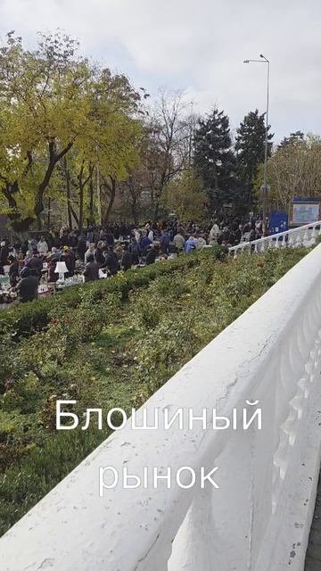 16-11-2025 #барахолка смотреть онлайн