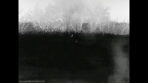 Два вечера охоты на шакала в Волгоградских степях под яркой луной.