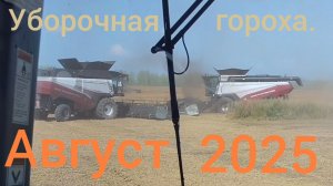 Уборочная гороха продолжается. New Holland T9030.