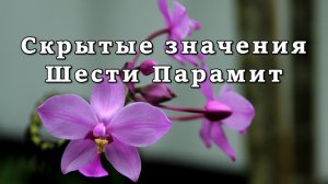 Скрытые значения Шести Парамит