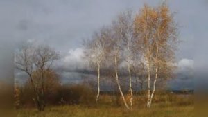 Валерий Гурков "Отгуляла осень"   читает Любовь Б.