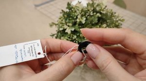 Вега. Кварцы и жемчуг. 17.11.2025