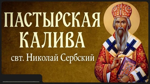 ПАСТЫРСКАЯ КАЛИВА _ свт. Николай Сербский смотреть онлайн