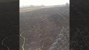 Осенние хлопоты...