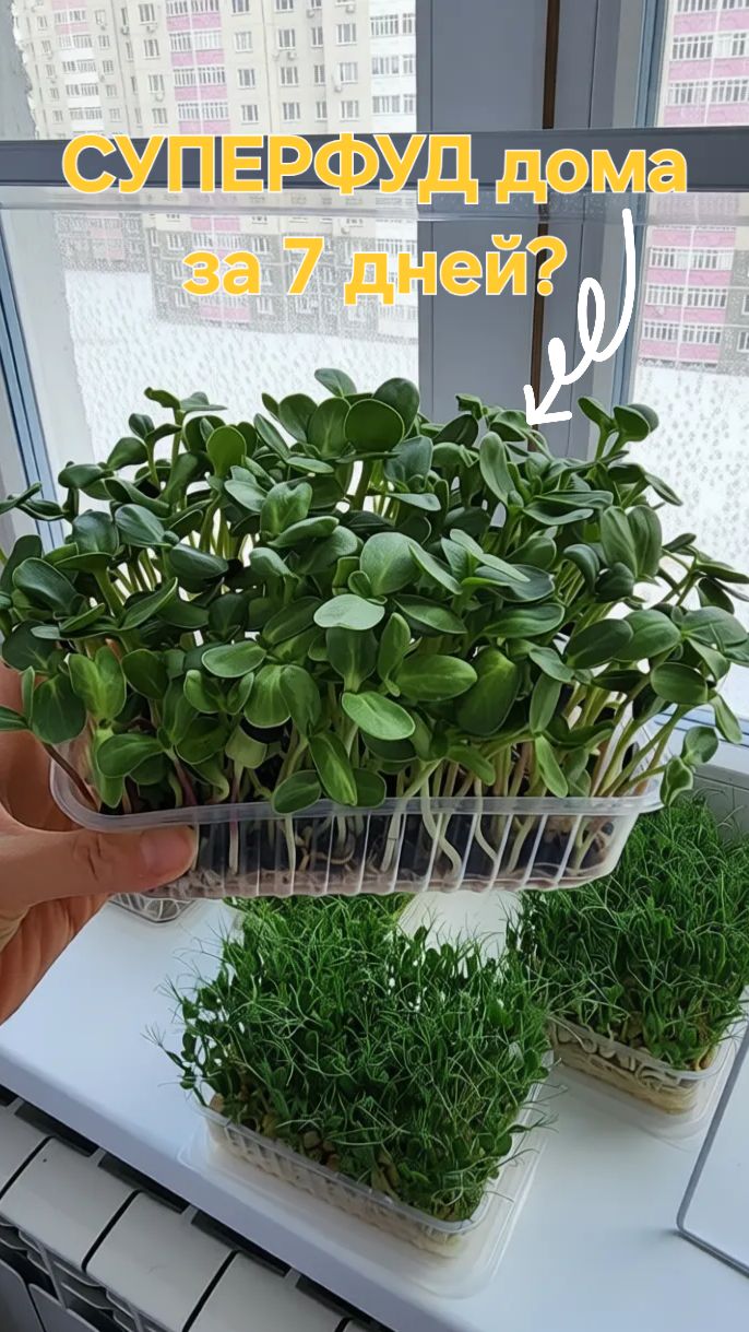 СУПЕРФУД в осенне-зимний период!