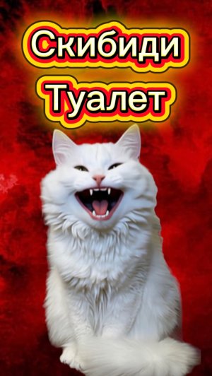 ОН ИСПУГАЛСЯ МЕНЯ 🙀 #кот #кошка #животные #скибидитуалет