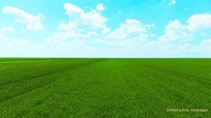 #Коран#АнНисаъ#СамыеКрасивыеМеста#Relaxation##Islam#Quran#AnNisa'#Minshawiy #4кВидео#2часть#