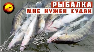 РЫБАЛКА В ДИКИЙ ТУМАН / Судак, Лещ и Поиск Рыбы с Эхолотом