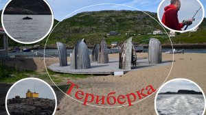 Териберка, катер, море, киты.
