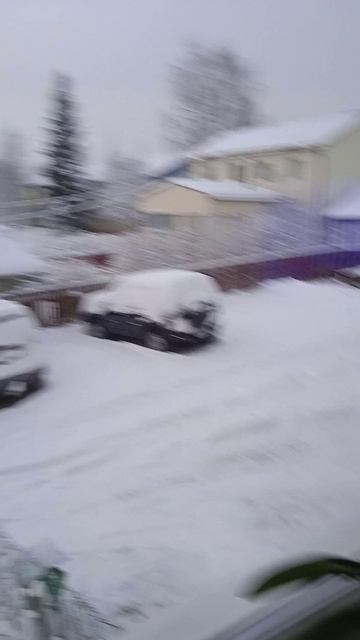 белоснежный вид из окна